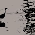Peking Spring w/ Jon K - 15th May 2025