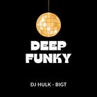 DJ Hulk B2B BigTurtle - Deep & Funky House