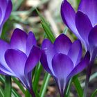 Quietmusic - Complete Three-Hour Program - May 18