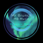 Organic House Downtempo Mix Vol 22