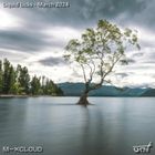 Liquid Licks - March 2024