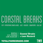 Coastal Breaks ~ Leon Ricciardi ~ 09.01.25