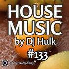 DJ Hulk - Deep / Funky / Jackin House Mix#133