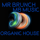 Organic House/Downtempo Mix Vol 12