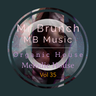 Organic House/Melodic House Mix - Vol 35