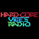 Hardcore Vibes Radio Livestream 29/11/24