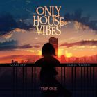 Only House Vibes Trip One - Mxd by Oleg Yoshi Dec 2024