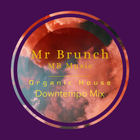 Organic House Downtempo Mix - Vol 17