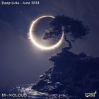 Deep Licks - June 2024