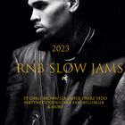 2023 RNB SLOW JAMS FT CHRIS BROWN SZA USHER DRAKE VEDO CIARA ERIC BELLINGER & MORE