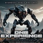 DnB Experience 28092024