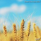 Deep Licks - July 2023