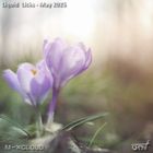 Liquid Licks - May 2025