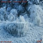 Deep Licks - January 2023