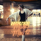 House Music Mix 12