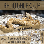 Radio Galaksija #151: Zmije Balkana (Margareta Lakušić i Vukašin Bjelica) [14-06-2022]