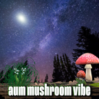 Jazzy Instrumental Hip Hop with a Downtempo Vibe - Aum Mushroom Vibe