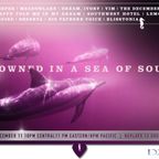 Drowned in a Sea of Sound, Vol. 26