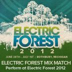 Electric Forest Mix Match 2012