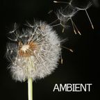 AMBIENT  - THE ESSENTIAL DOCUMENTARY