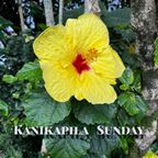 Kanikapila Sunday, Hawaiian Music with Kealiʻiloma, August 20, 2023