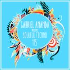 #115 Mike Tohr : Gabriel Ananda Presents Soulful Techno