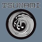 Tsunami Records All Vinyl classics set.