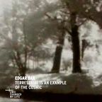 Edgar Bąk - Terrestrial Is An Example Of The Cosmic