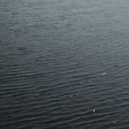 Water Blessing with Lua Maria - 30th July [read text]