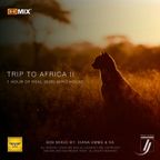 TRIP TO AFRICA II [B2B VINYL] - DIANA EMMS & RA