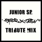 Junior SP. - 20 Years Of Terror X Crew - Tribute Mix