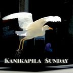 Kanikapila Sunday, Hawaiian Music with Kealiʻiloma, August 13, 2023 - Mele for Maui