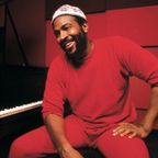 Marvin Gaye & Friends DJ Mix by West Loop Chicago
