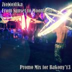 Z(o)(o)lika - Promo Mix for Bakony'13 (From Sunset to Moonlight)