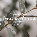 Dance in the nest - REFRESH - 5Rhythms Zoom session 17.02.2021 (no guidance)