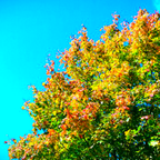 Autumn Feel | Mixtape October 2011