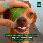 Cassette Blog en Ibero90.9 FM Prog 385 (Vier 14-07-2023) 1