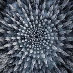 Snowflake - Redjay psytrance mix