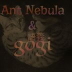 DJ Gogi | Nocturnal Visitations #011: Ant Nebula & gogi