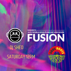 DJ Shed - Fusion