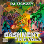 NEW BASHMENT TING VOL.3 BY @DJTICKZZY