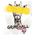 GRIMEHALL GIRAFFE Mix 02 // Latin, Hip-Hop, R&B, Dancehall, Afro & Dance // Socials @djbearcole