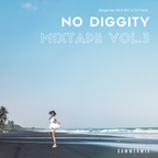 No Diggity Mixtape Vol.3