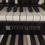 Groovy Moments - Hammond Organ Session!