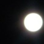 full moon vol 04 can kalzada