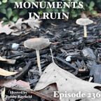 Monuments in Ruin - Chapter 236