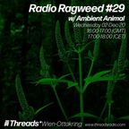 Radio Ragweed #29 w/ Ambient Animal (Threads*WIEN-OTTAKRING) - 02-Dec-20