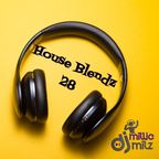 House Blendz 28