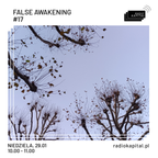 RADIO KAPITAŁ: False awakening #17 (2023-01-29)