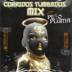 CORRIDOS TUMBADOS MIX 2023  FT PESO PLUMA -DJ NINO